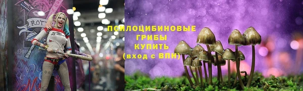 spice Бородино