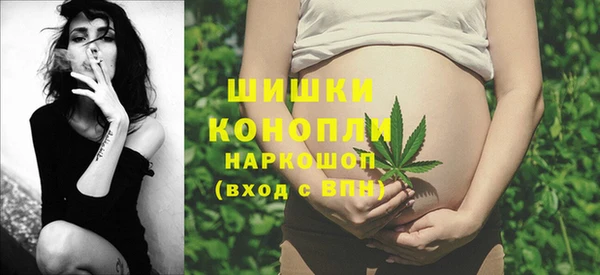 шишки Бронницы
