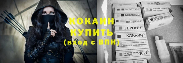 шишки Бронницы
