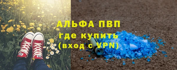 spice Бородино