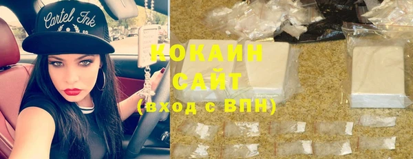 шишки Бронницы