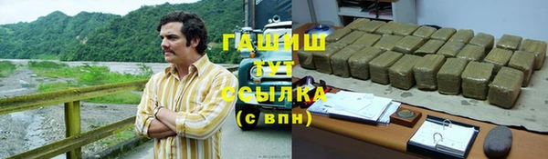 spice Бородино